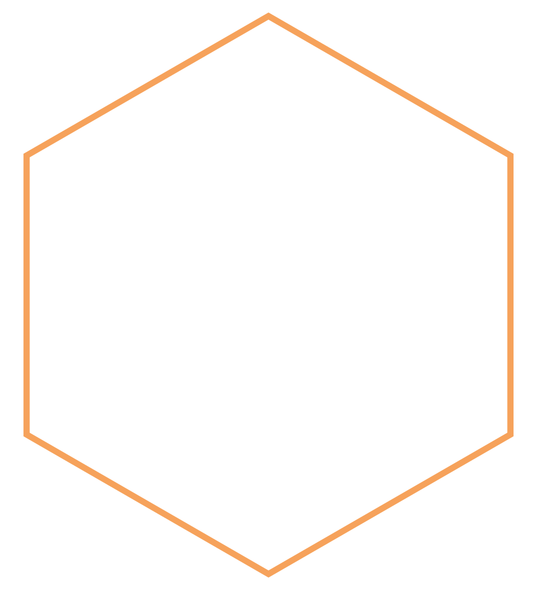 Fusing operational best practice, industry standards, an intimate awareness of future-concepts, and real-world experience, our team provides IDD solutions to a range of clients.