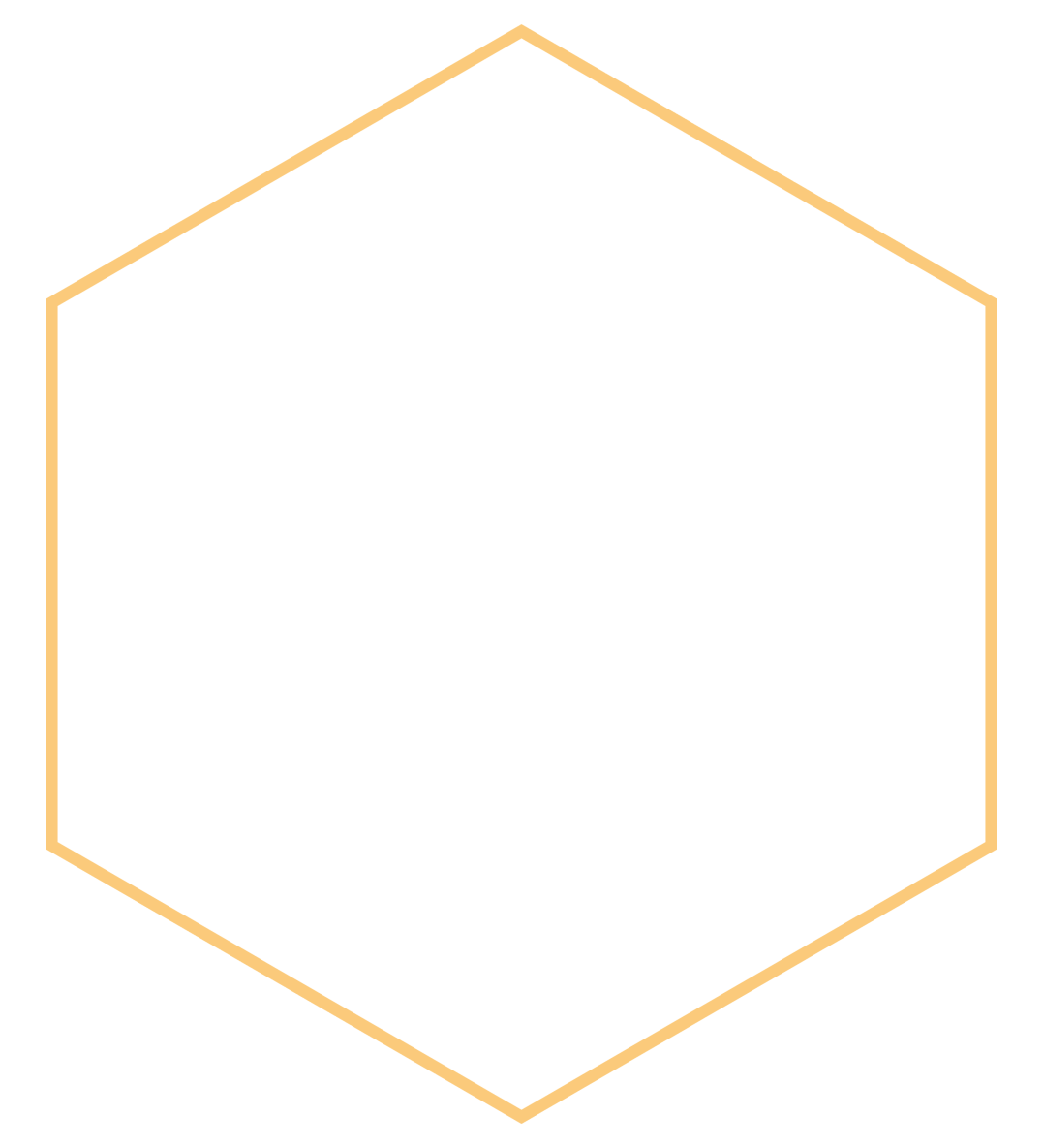 Leveraging the skills, knowledge, and experience of its team, Defendable Technologies conducts rapid and effective TSI programs of work for highly-complex business challenges.​